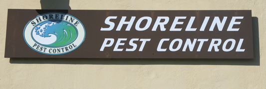 Pest Control from Shoreline Pest Control in Ventura and ...